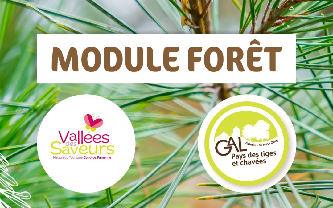 Module Forêt à destination des guides nature, guides touristiques, paysaguides, …