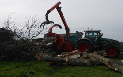 Valorisation de la biomasse-énergie