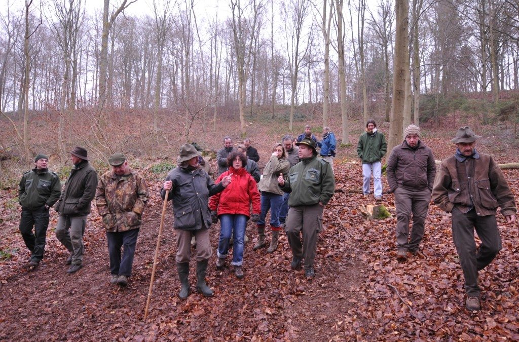 Forêts / Filière bois