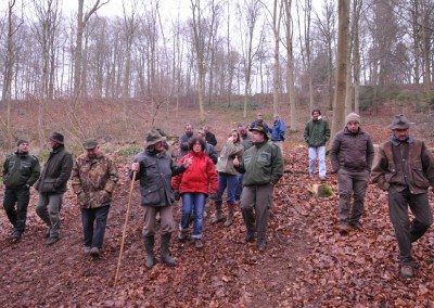 Forêts / Filière bois