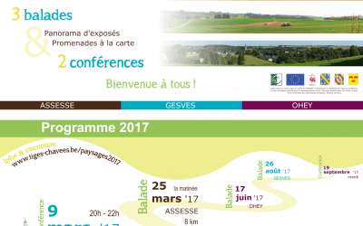 Au-delà des Tiges et Chavées : paysages en 2017