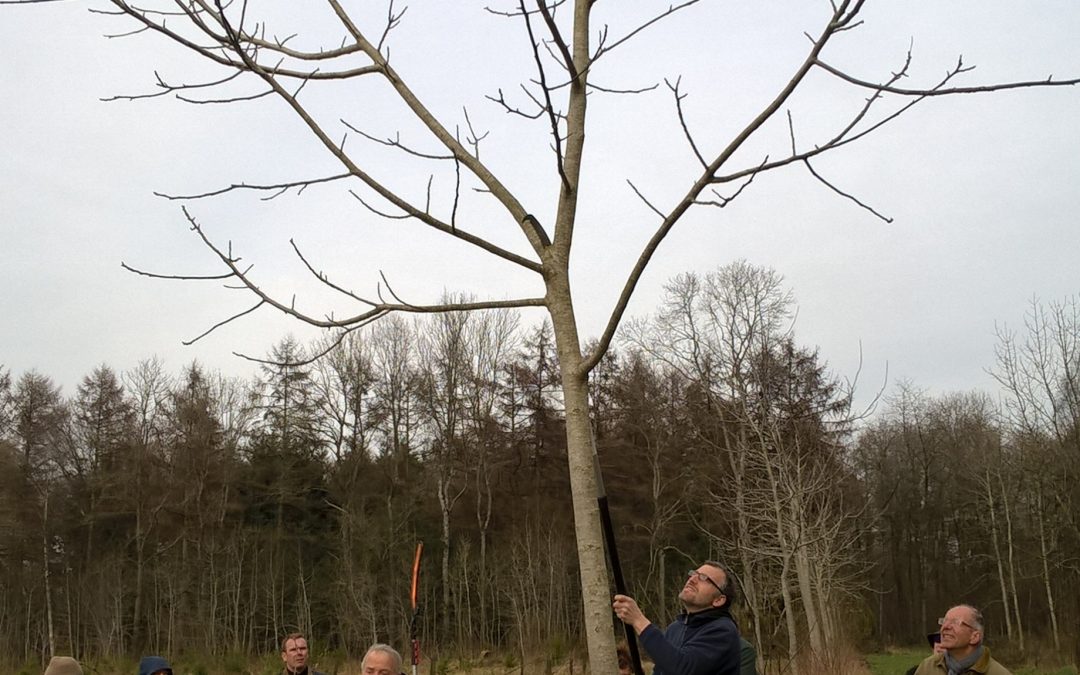 Retour sur la première formation « Forêt »