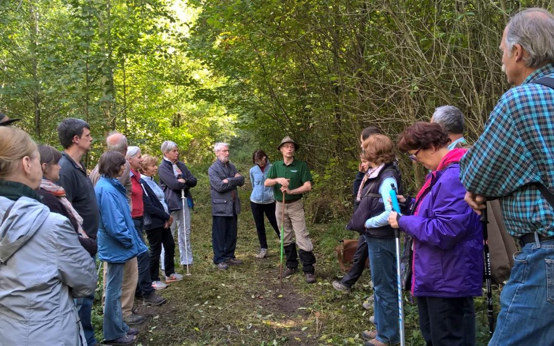 Formation de guide forestier