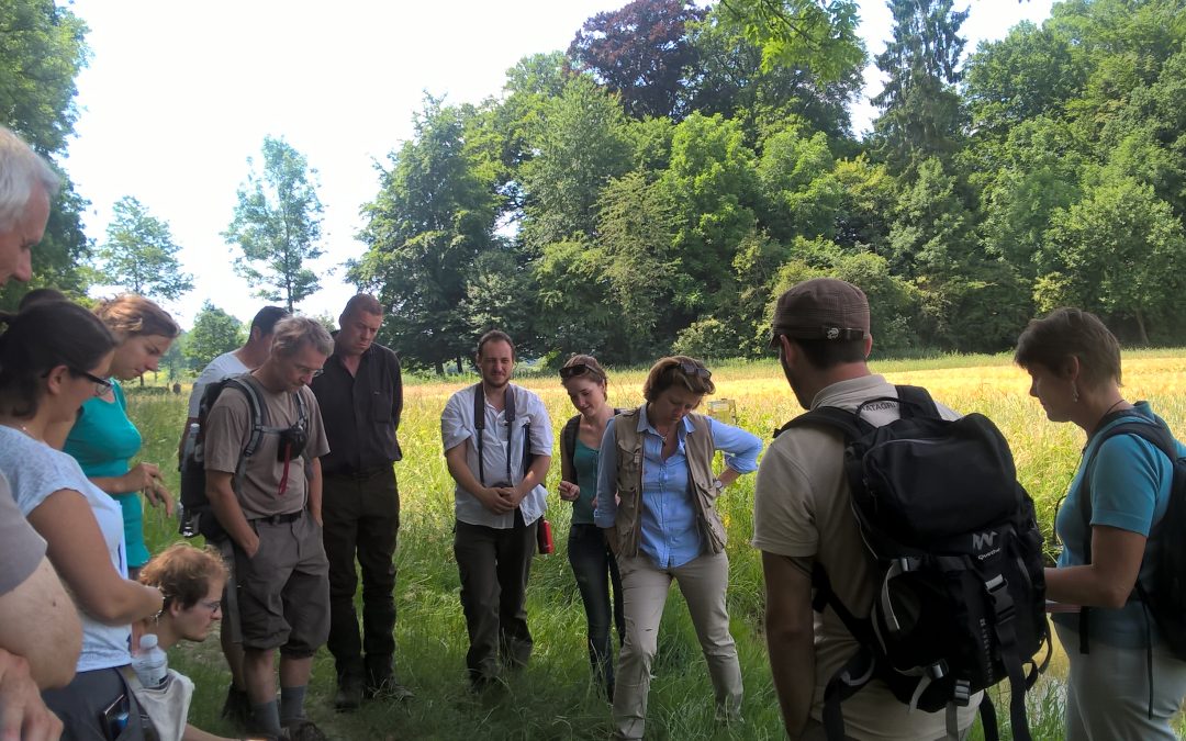 Biodiversité en forêt