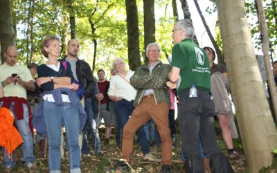 Balade en forêt, entre Florée et Maibelle