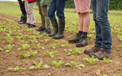 Formation « guide agricole »