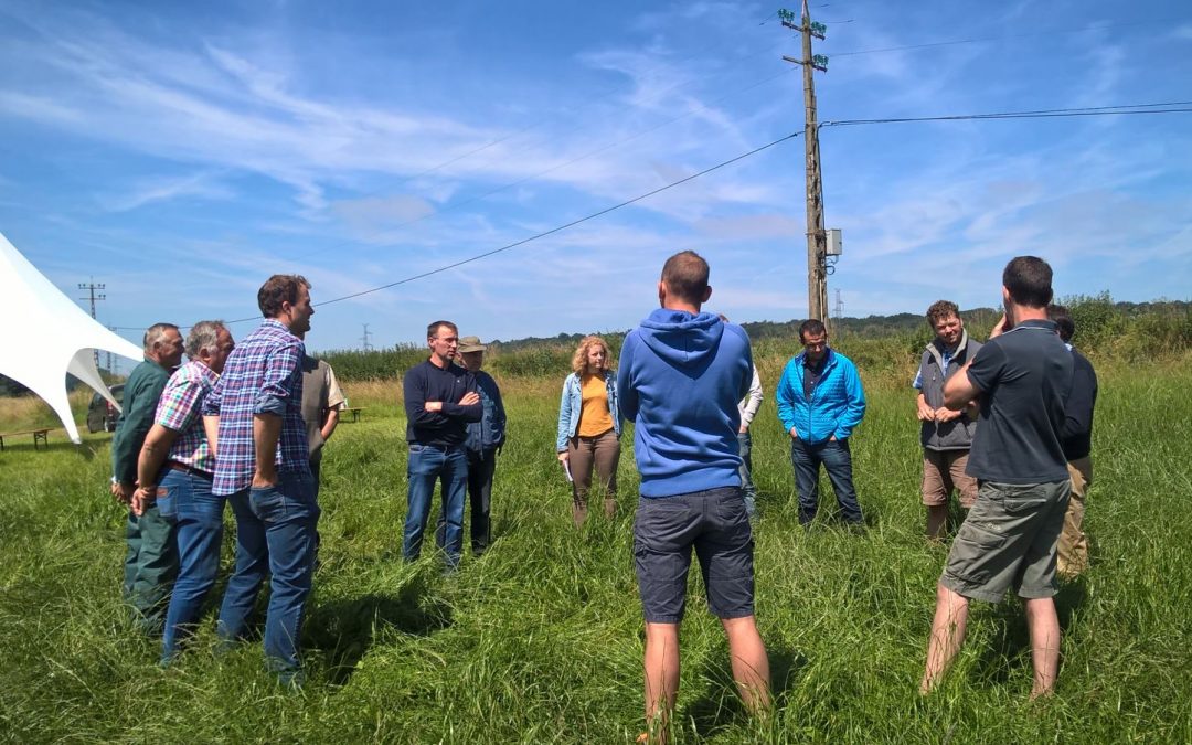 Séance d’info sur la gestion des prairies