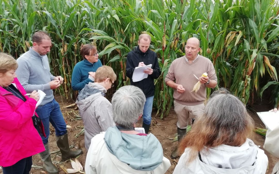 Formation Guide agricole – Troisième sortie de terrain