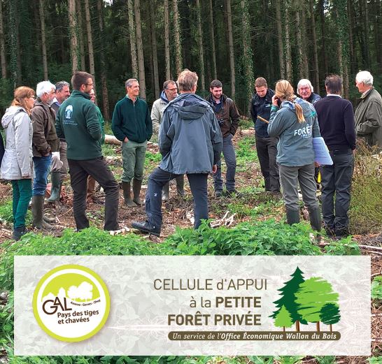 Une association forestière au Pays des Tiges et Chavées