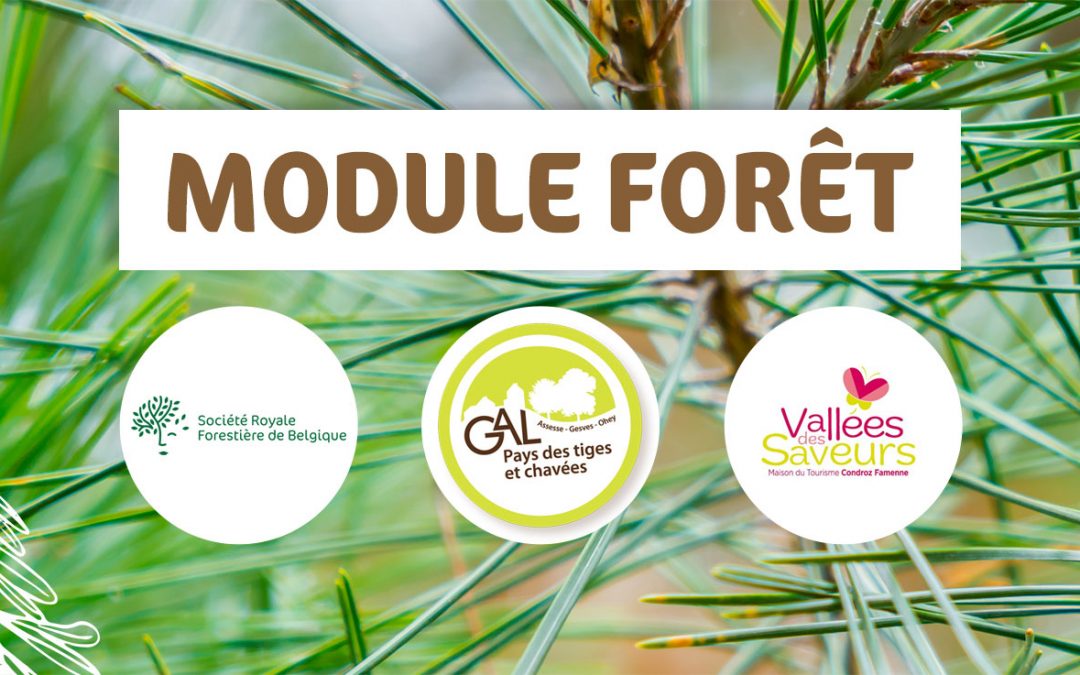 Module Forêt à destination des guides nature, guides touristiques, paysaguides, …