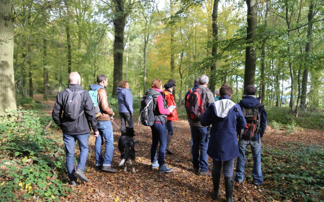 Module « forêt » à destination des guides touristiques