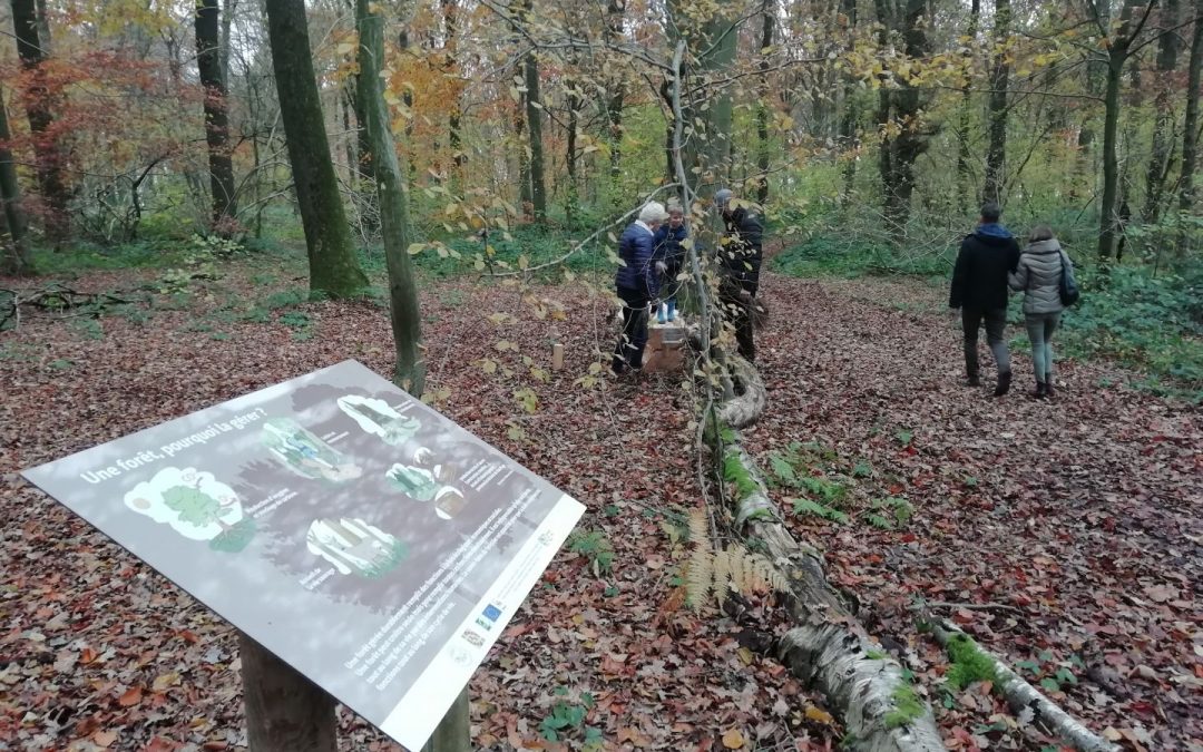 Semaine de l’arbre à Gesves – A la redécouverte du Bois didactique