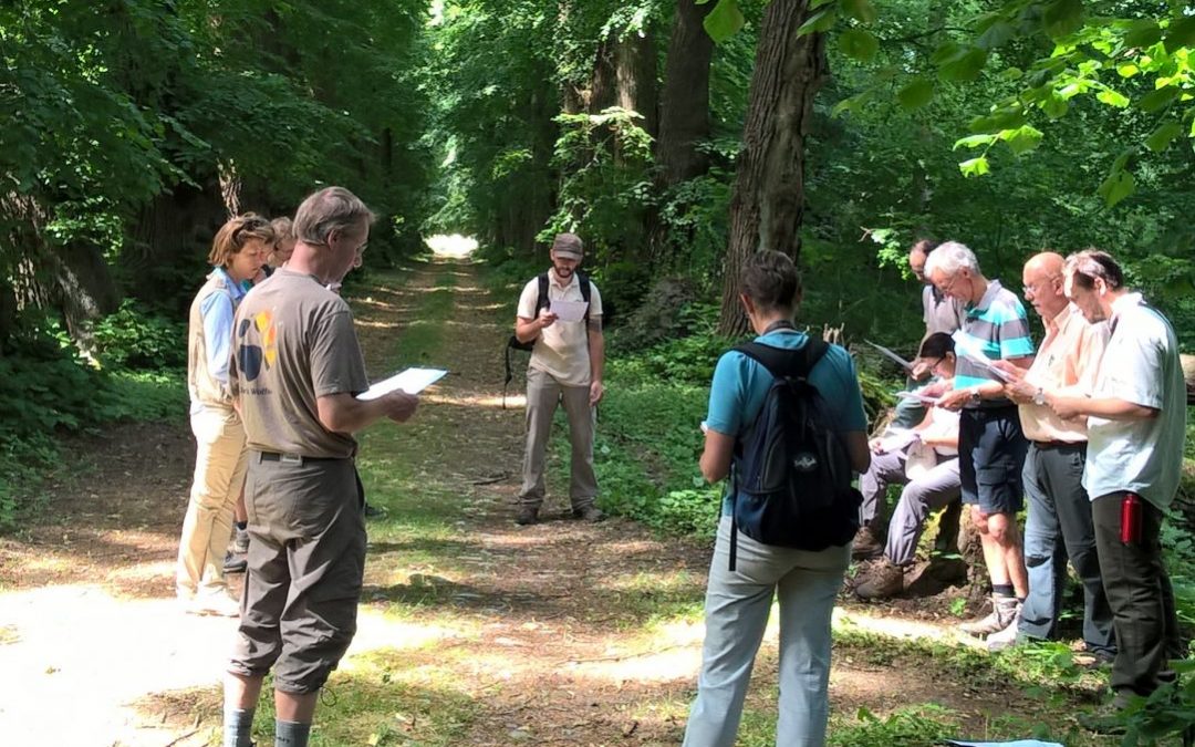 L’association forestière des Tiges et Chavées : se regrouper pour mieux gérer ses bois