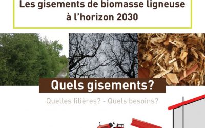 Biomasse – Etude Gisements