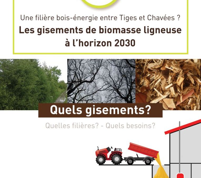 Biomasse – Etude Gisements