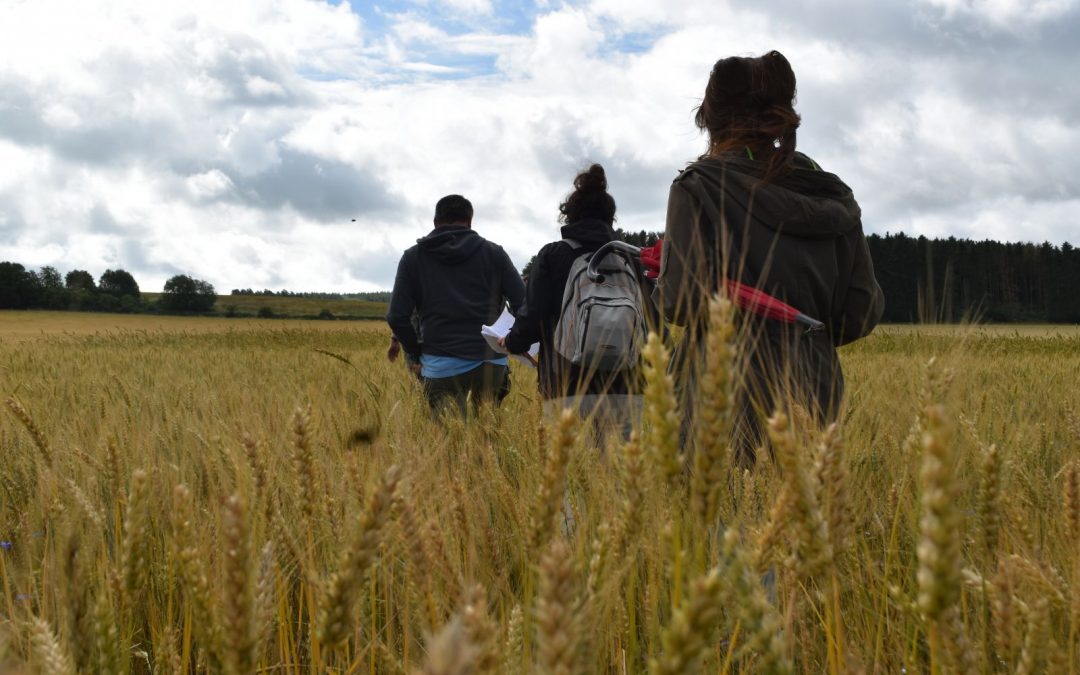 Agriculture : groupe autonomie fourragère et filière céréales