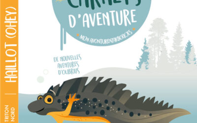 Mes carnets d’aventures | Assesse – Ciney – Gesves – Hamois – Havelange – Ohey – Somme-Leuze