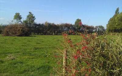 Rencontre avec des agriculteurs autour de la plantation de haies