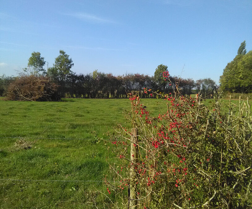 Rencontre avec des agriculteurs autour de la plantation de haies