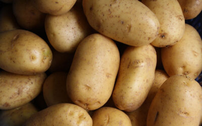 Concours – votre propre poids en pommes de terre !