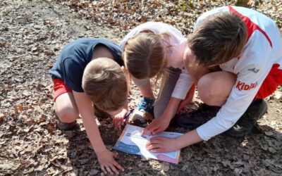 Nouveau pour les familles en Condroz-Famenne