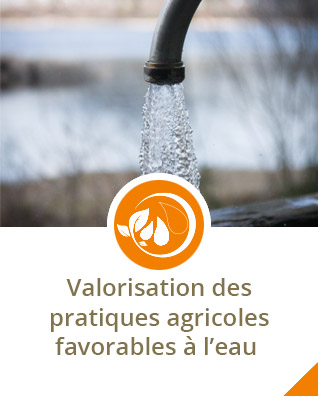 Valorisation des pratiques agricoles favorables à l'eau