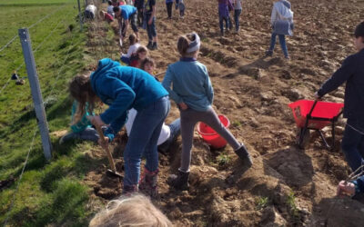 Jour du printemps, 80 enfants « al chupe »