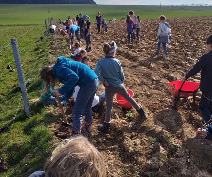 Jour du printemps, 80 enfants « al chupe »