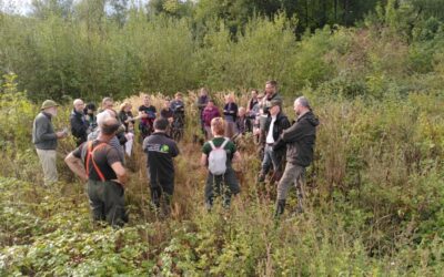 Pour des peuplements diversifiés et résilients dans nos forêts | journée de formation