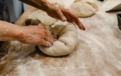 « Au cœur du pain » : lancement d’une filière céréales panifiables près de chez vous