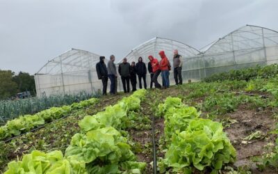 Projet de valorisation des légumes favorisant la biodiversité