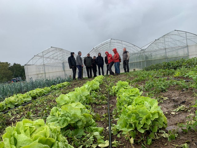 Projet de valorisation des légumes favorisant la biodiversité