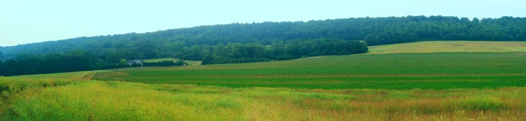 Les paysages présents, paysages passés du futur